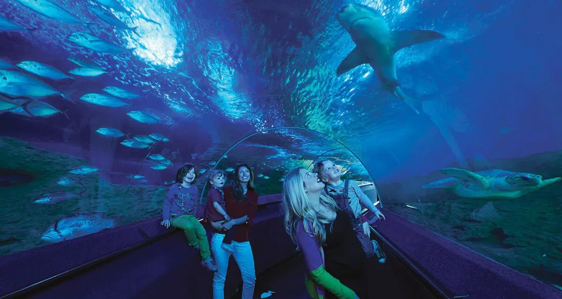 AQWA — The Aquarium of Western Australia, Perth