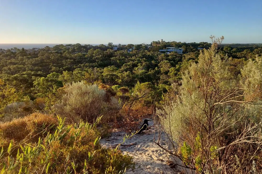 Rio Tinto Naturescape Kings Park, Perth