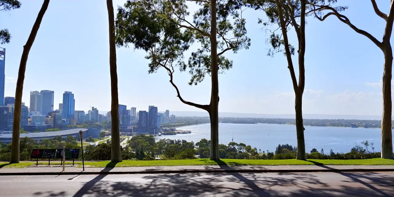 Where Perth Goes Vertical: Kings Park From Canopy to River