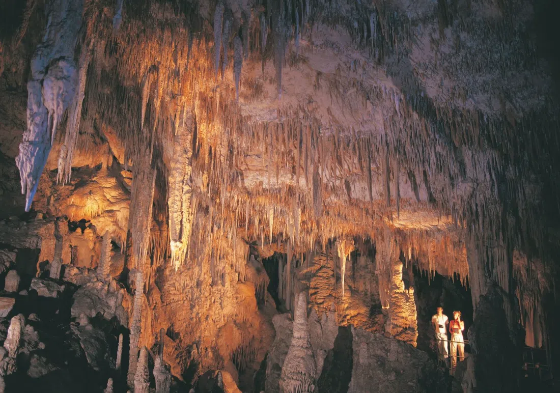 Australian Pinnacle Tours, Perth