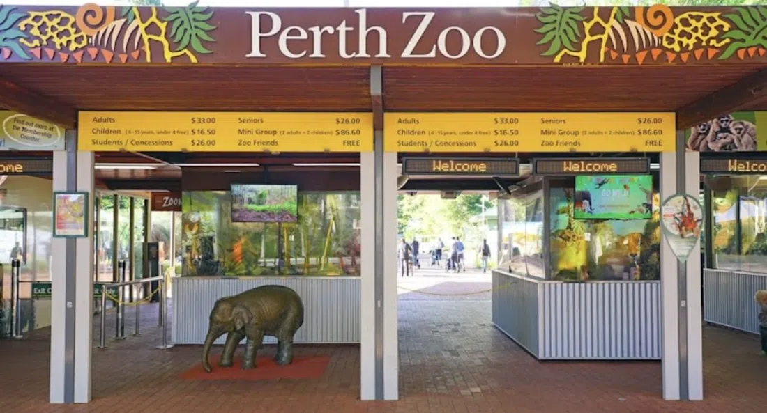 Perth Zoo — Penguin Plunge, Perth
