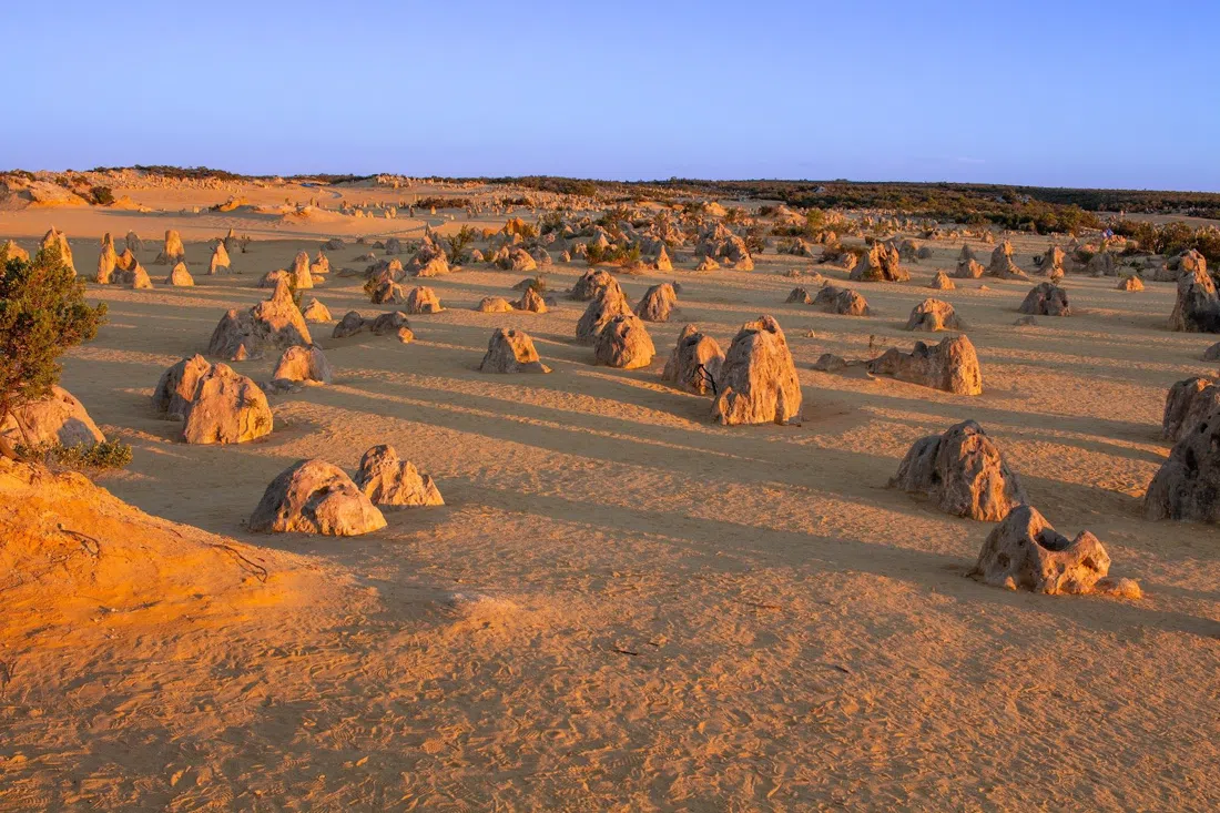 Lumineer Adventure Tours, Perth