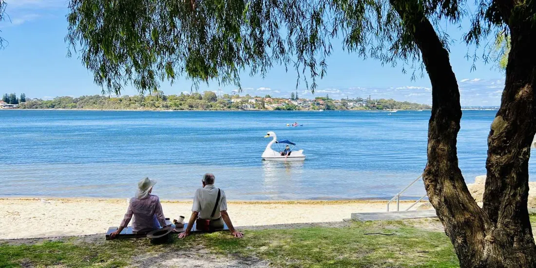 Swans on the Swan, Perth