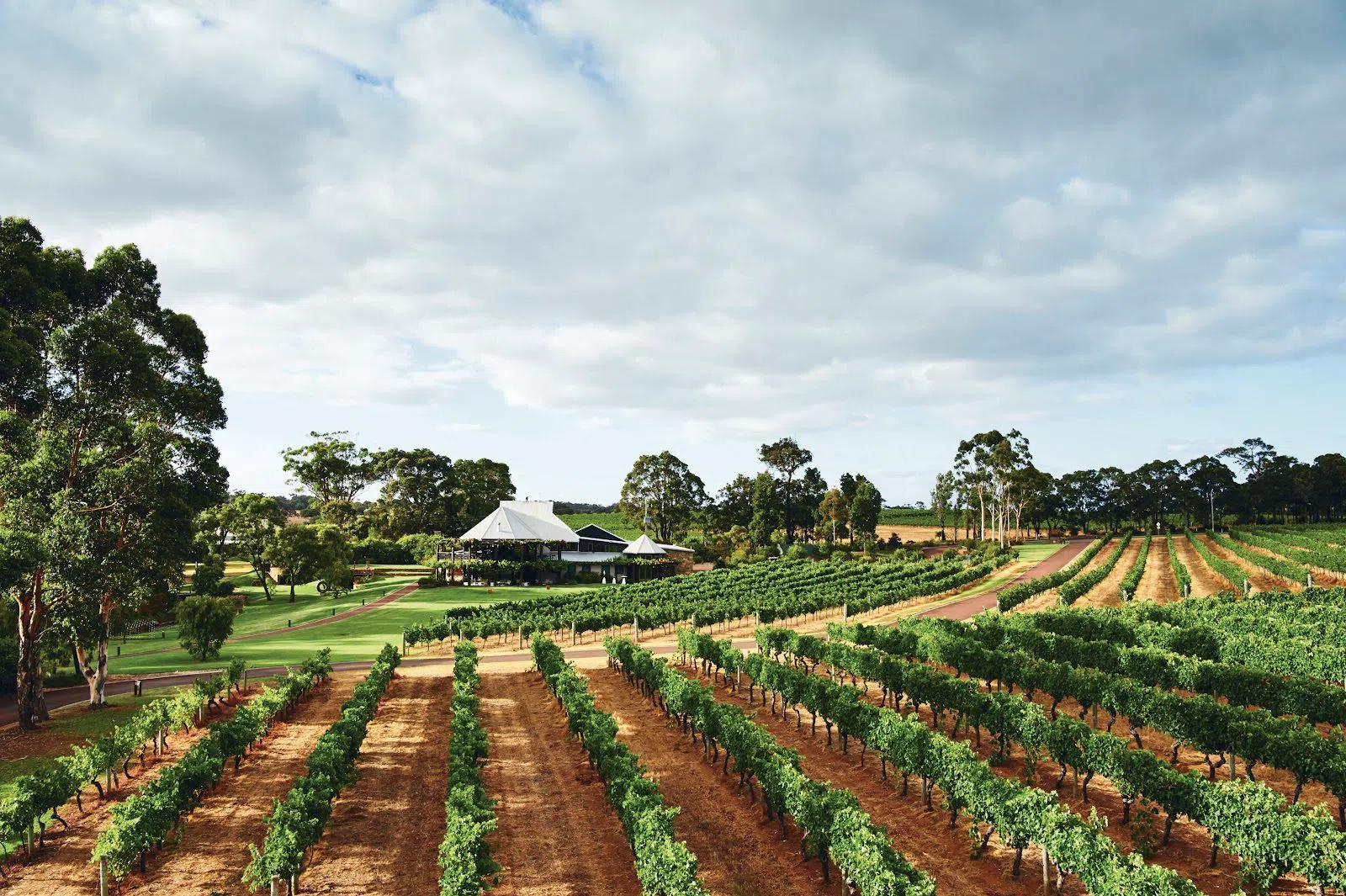 Vasse Felix, Perth
